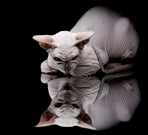 FB体育app下载-“经典逆转:激动人心的惊险逆袭”,最惊人的逆转原视频