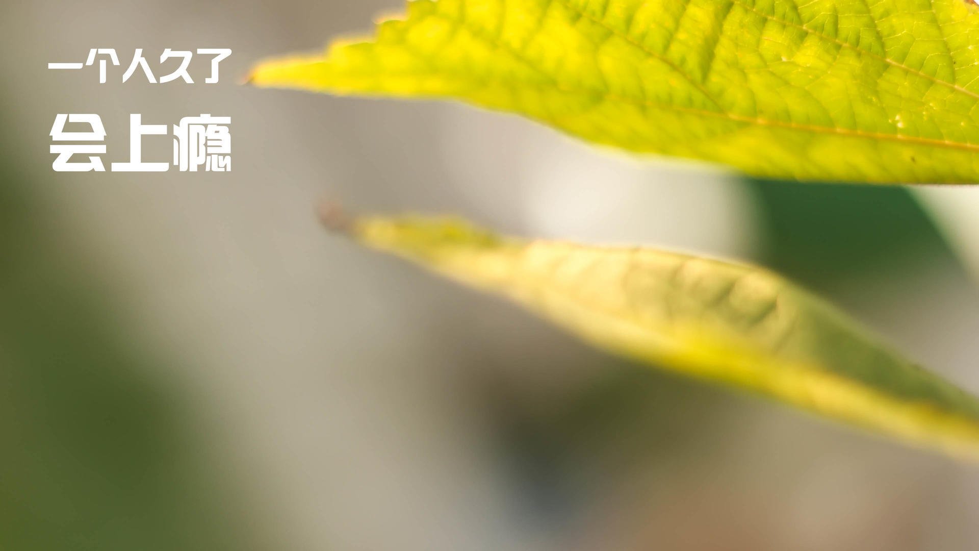 FB体育登录入口-【实时数据透明】传感器和大数据让比赛更“看得懂”，传感器设备采集的数据是不是大数据