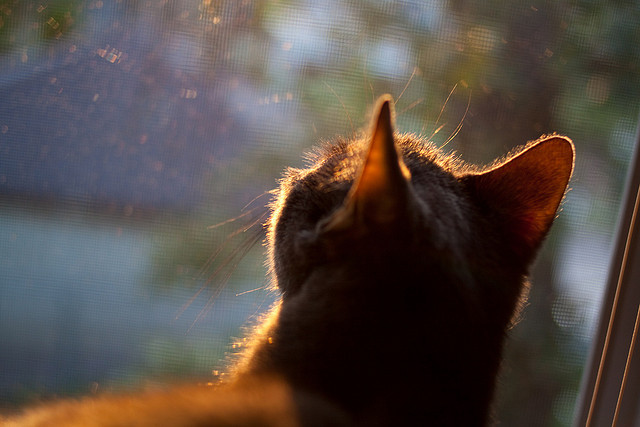 FB体育网页版-【技术剖析】奥沙利文：罚分争议背后的战术深思，奥沙利文超分很多对手还打