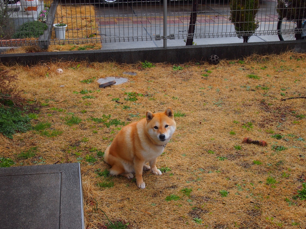 fb体育中国-失误频现:上海队20次失误成为败因!,上海队吧