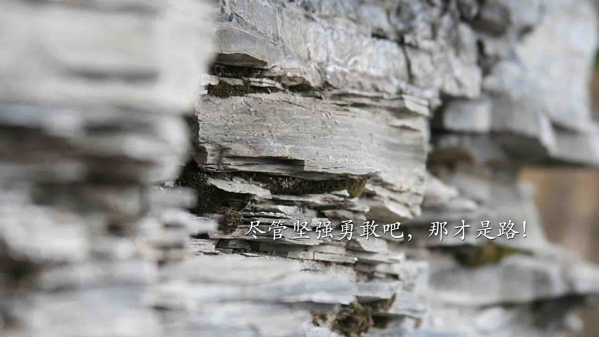 FB体育网页版-日本媒体关注杭州的IT产业和亚运会开幕式创意。,杭州亚运会日本参加吗