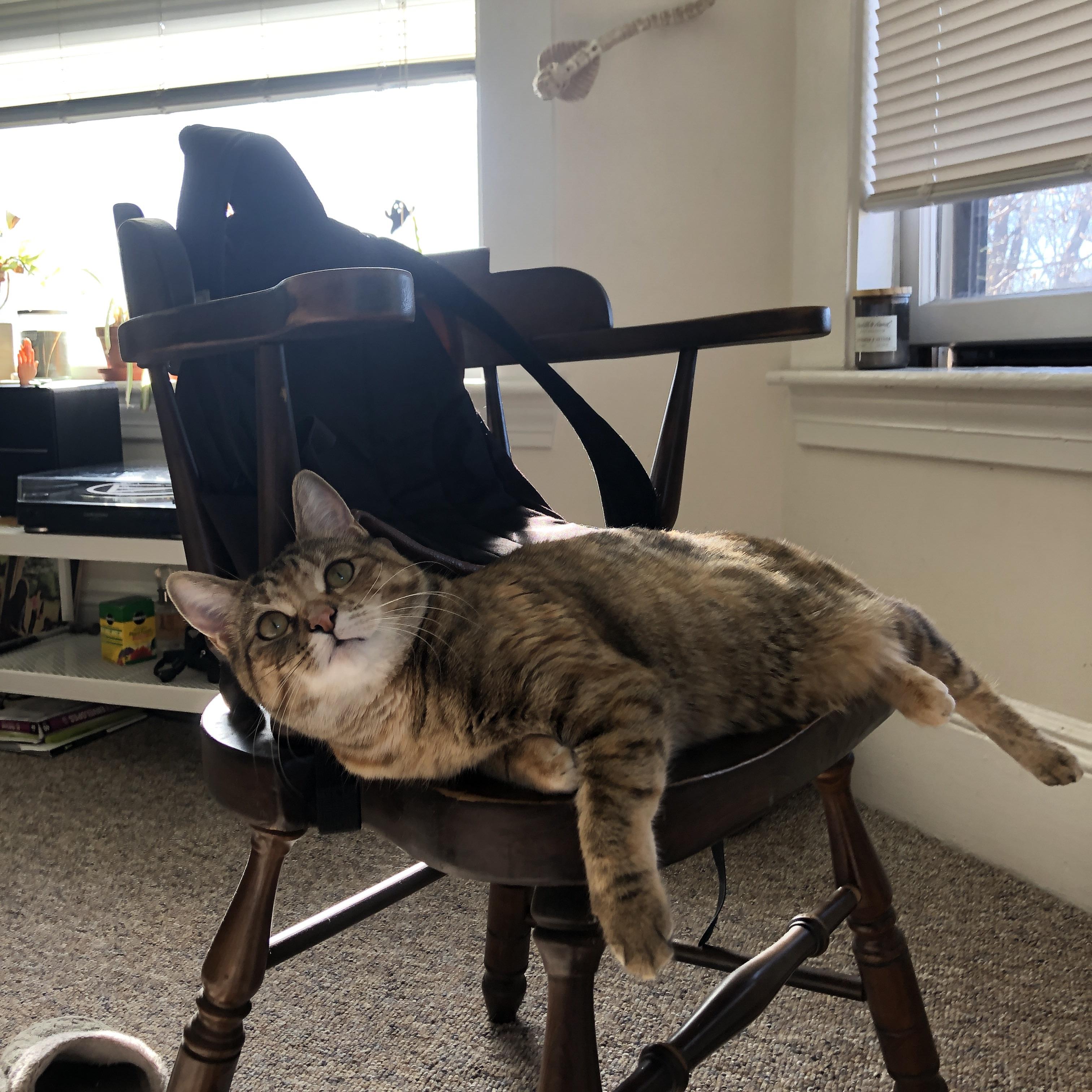 fb体育全站-曼联在欧冠中开启逆转大戏,曼联拄拐队拿下欧联杯冠军