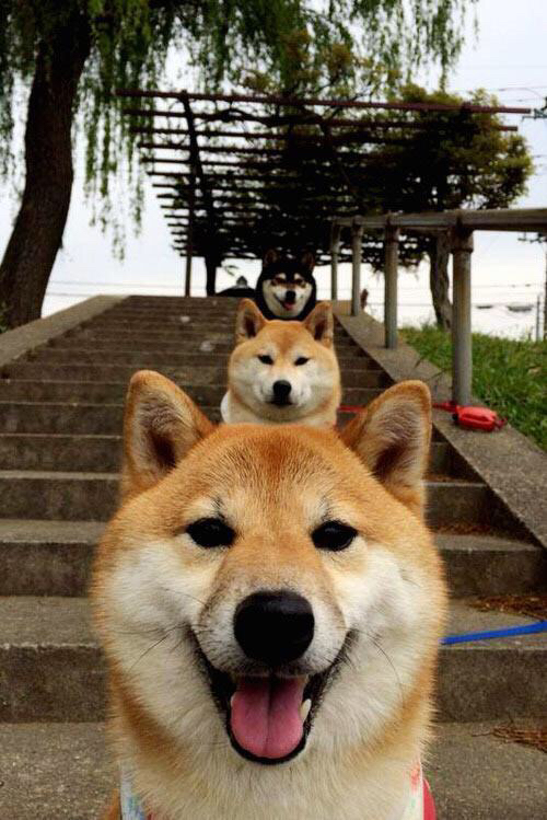 FB体育登录入口-篮球明星退役转型教练引领新一代，篮球明星退役后的生活