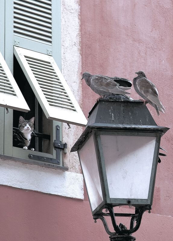 FB体育在线-LCS战队数据分析:经济效率排行榜,lcs100战队