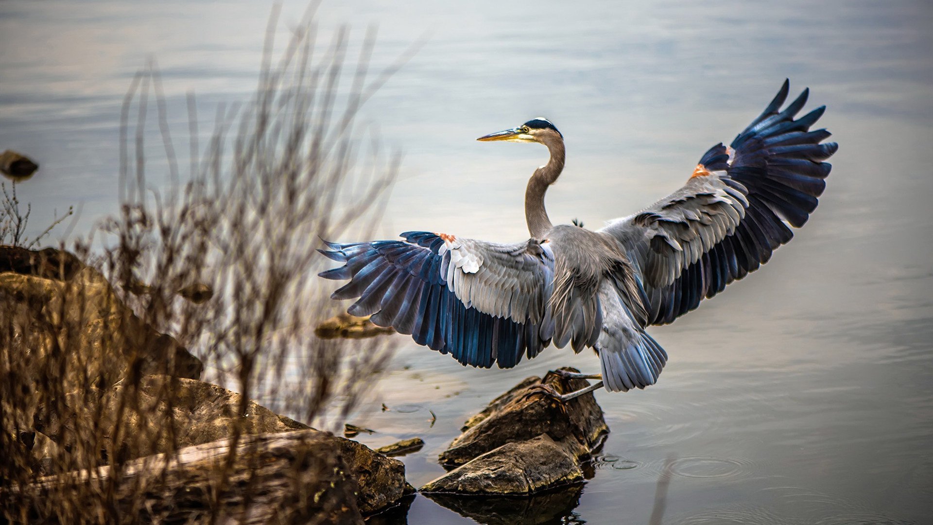 fb体育中国-中国篮球运动员团队精神,中国篮球的代表人物