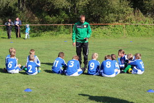 FB体育注册网址-德甲球队构建战术模拟平台提升临场决策能力，德甲模式