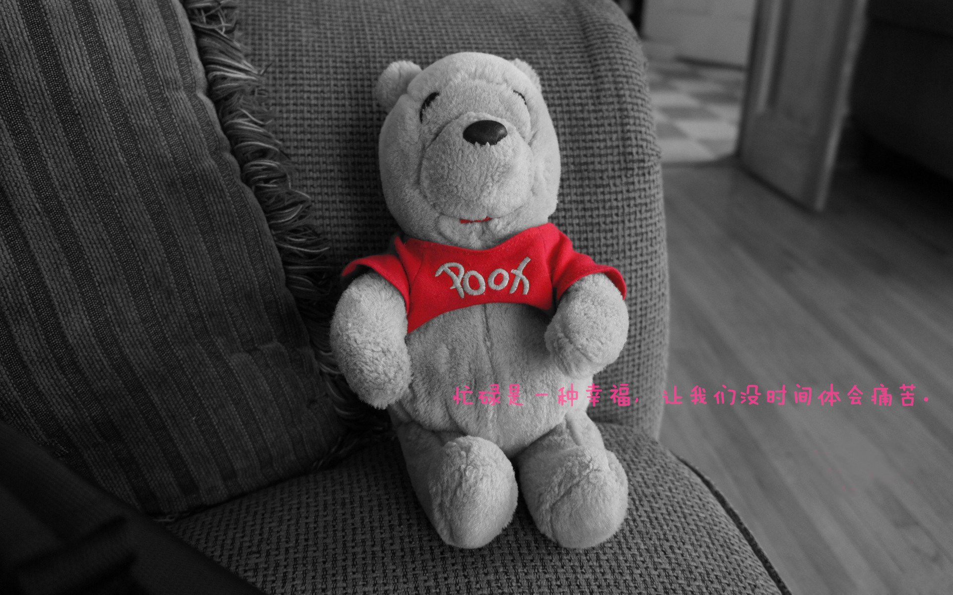 FB体育下载-新闻中心发布财务业绩报告,新闻中心发布财务业绩报告怎么写