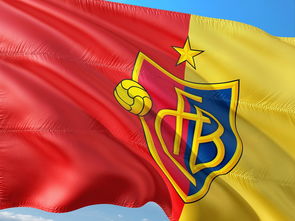 fb体育在线官网-法甲升班马快速适应顶级联赛经验分享,2021西甲升班马是哪几支球队