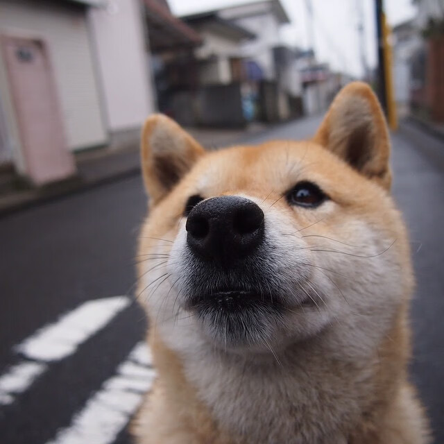 FB体育下载-篮球运动损伤的预防与康复技术,篮球常见损伤和预防治疗方法
