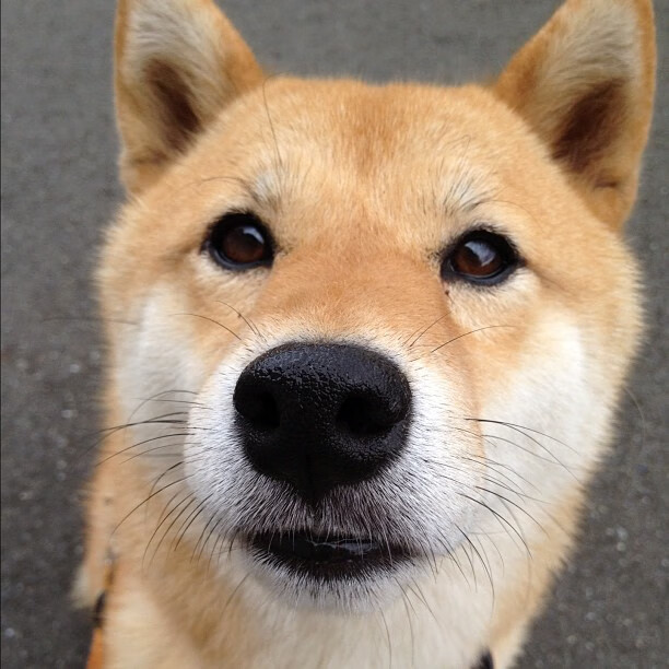 FB体育官方网站-2024年德国队的混合团体世界杯之路：坚定的步伐，德国队备战世界杯