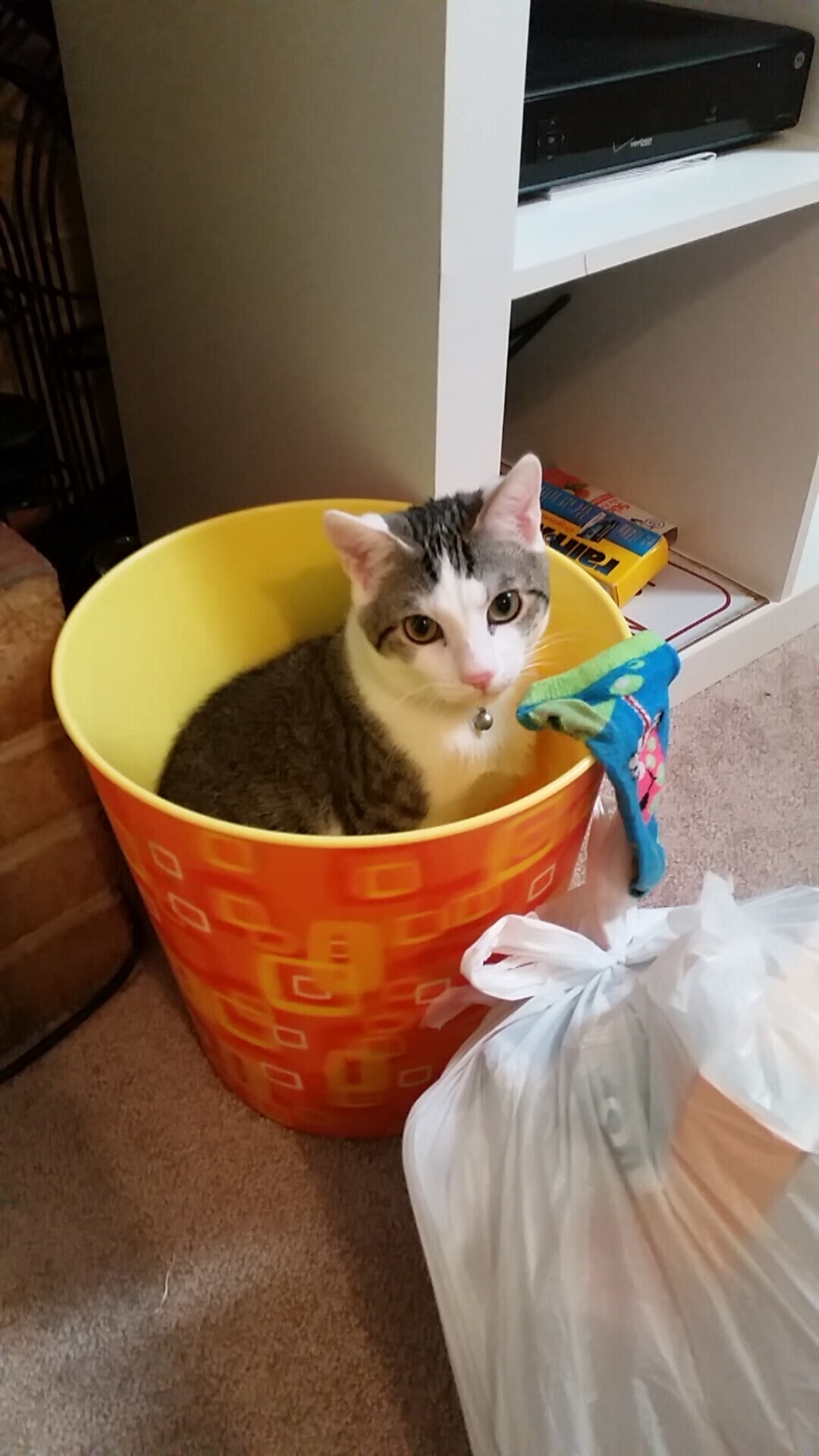 FB体育在线-FIBA排名约133位,全球竞争力尚弱,fiba球队排名