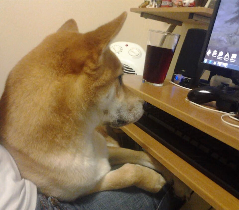 fb体育官网首页-印度乒乓队未来目标：从强国学者到全球霸主，印度乒乓球员