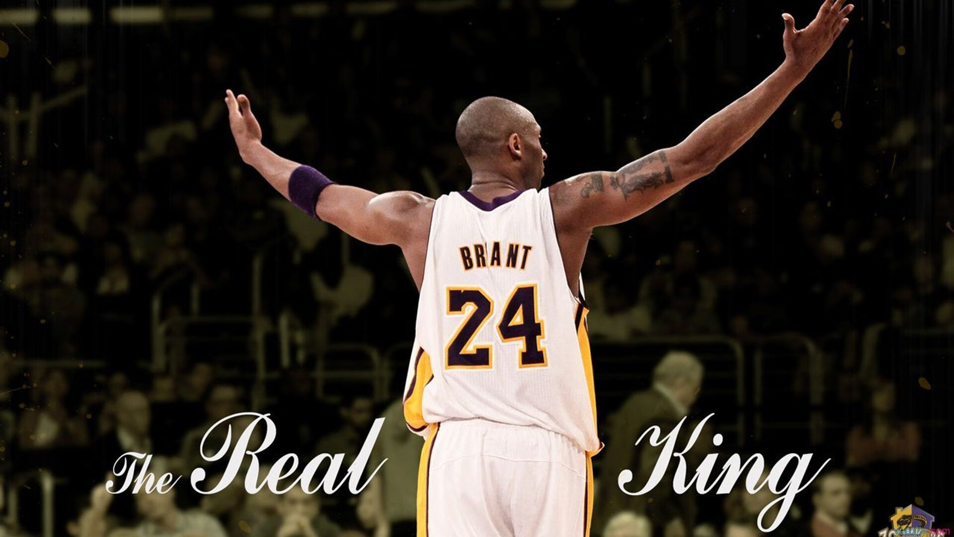 “从冰雪到沙漠：环游全球最危险赛段的巅峰对决”，从冰川到沙漠